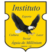 institutoaguiadomillenium.org.br